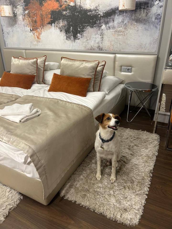 Hotel Boutique Center